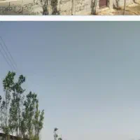 زمین ۵۰۰ متر|فروش زمین و ملک کلنگی|کیاسر, |دیوار