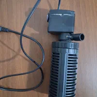 آکواریوم شرکتی|ماهی|قزوین, |دیوار