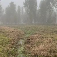 زمین باغ  در منطقه گردشگری بولاغلار نیر (اردبیل)|فروش زمین و ملک کلنگی|نیر (اردبیل), |دیوار