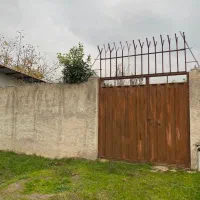 باغچه-محصور-با-درختان-چند-ساله