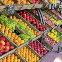 نیرو میوه فروشی خانم