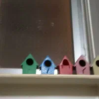 قفس|لوازم جانبی حیوانات|اصفهان, ارداجی|دیوار