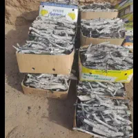 ذغال قلیان|کلکسیون و سرگرمی|مشهد, عامل|دیوار