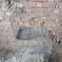فروش قفس پرنده