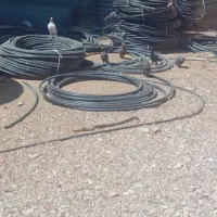کبوتر|پرنده|شیراز, دوکوهک|دیوار