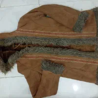 پالتو پوستی