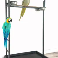 استند پرندگان