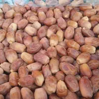 خرما|خوردنی و آشامیدنی|قم, شهرک قدس|دیوار