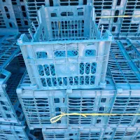 کارگر ساده برای بسته بندی سبد میوه|استخدام صنعتی، فنی، مهندسی|امیرکلا, |دیوار