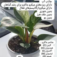 کود ورمی کمپوست ارگانیک با کیفیت و ارزان