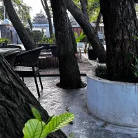 استخدام نگهبان