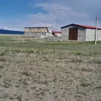 مرغداری ۱۶۰۰۰ کوشتی