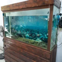 آکواریوم بزرگ با پایه آهنی بدنه چوب روس