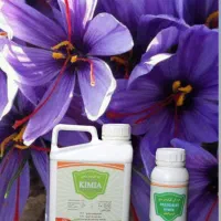 بهترین کود برای فصل سرما ( زعفران . پسته. گندم )