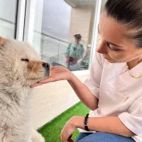 مربی سگ/آموزش سگ /اصلاح رفتار /تک جلسه و دوره کامل|خدمات آموزشی|تهران, پونک|دیوار