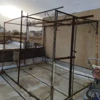 لونه کفتر (کت کفتری)