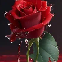 خدمات نظافتی هستی(24) ساعته