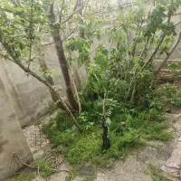 فروش-ملک-ویلایی-360-متر-بنا