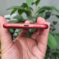 lphone 11 ایفون|موبایل|تهران, جردن|دیوار