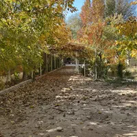 اجاره روزانه باغ ویلایی مرودشت ( سیدان )