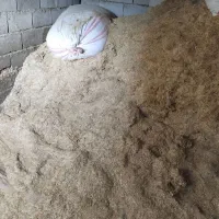 کاه|لوازم جانبی حیوانات|سنگدوین, |دیوار