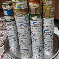 تن ماهی شیلتون