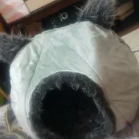 لونه پامرین