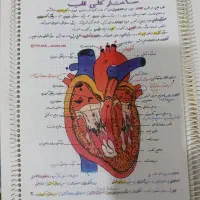 شیمی زیست کنکور نهایی جزوه رنگی رنگی