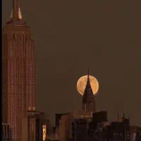 جویای کار مهندسی اجرای ساختمان و مدیر پروژه