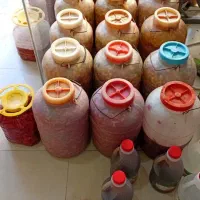 ترشیجات خانگی|خوردنی و آشامیدنی|مشکین‌دشت, |دیوار