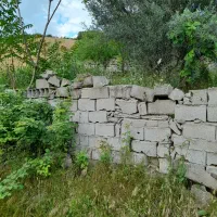 باغچه 150 متر مربع در روستای توشن  گرگان|فروش زمین و ملک کلنگی|گرگان, |دیوار