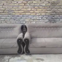 ۳عدد مبل|مبلمان خانگی و میز عسلی|سرخنکلاته, |دیوار