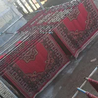 قالی شویی ماهر|خدمات نظافت|سوسنگرد, |دیوار