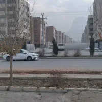 90متر-گل-نرگس