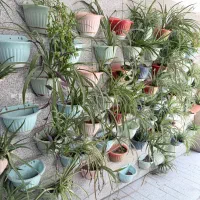 سرایدار