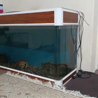 فروش آکواریم. شرکتی در حد نو