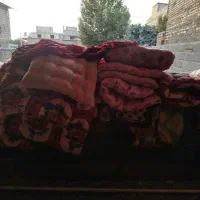 تشک|رختخواب، بالش، پتو|لردگان, |دیوار