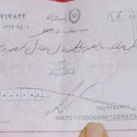 چک گمشده
