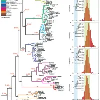 طراحی و اماده سازی پاورپوینت برای ارائه