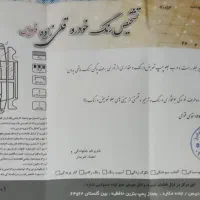 فروش فوری ۱۱۱ مدل ۹۴|خودرو سواری و وانت|فردیس, سرحد آباد|دیوار