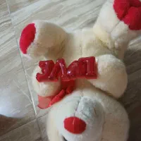 عروسک|اسباب‌بازی بچه|کرج, شهرک بنفشه|دیوار