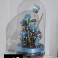 لوازم منزل|صنایع دستی و سایر لوازم تزئینی|پرند, فاز ۱|دیوار