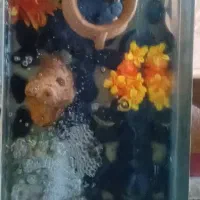 یک عدد آکواریوم بزرگ به همراه لوازم