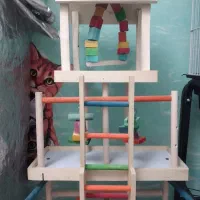 پارک بازی بزرگ طوطی سانان و پرندگان|لوازم جانبی حیوانات|تهران, شهرک آزادی|دیوار