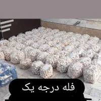 قارچ (از تولید به مصرف)