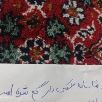 شناسنامه گم شده است بنام متین نوری متولد 88