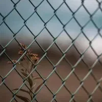 فنس محکم و قدیمی تضمینی