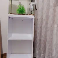 آکواریوم