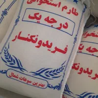 مرکزپخش برنج اقتصادی چای روغن زیتون زیرقیمت بازار|خوردنی و آشامیدنی|خوی, |دیوار