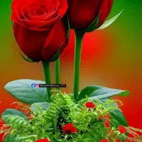 آپارتمان کارمندی